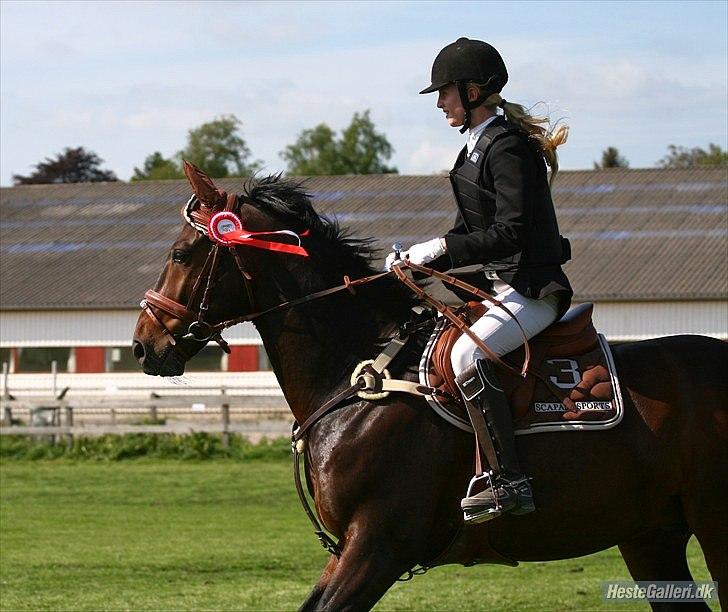 Oldenborg Prins Hamlet 387 † R.I.P † - ØSR, Springstævne 80cm B0 & LD 90cm. (-; Vores anden LD, vi fik en 1 PLADS! ö Elsker den hest!  05-06-2010. © Foto: CR-FOTO/Camilia Rosenund.  billede 4