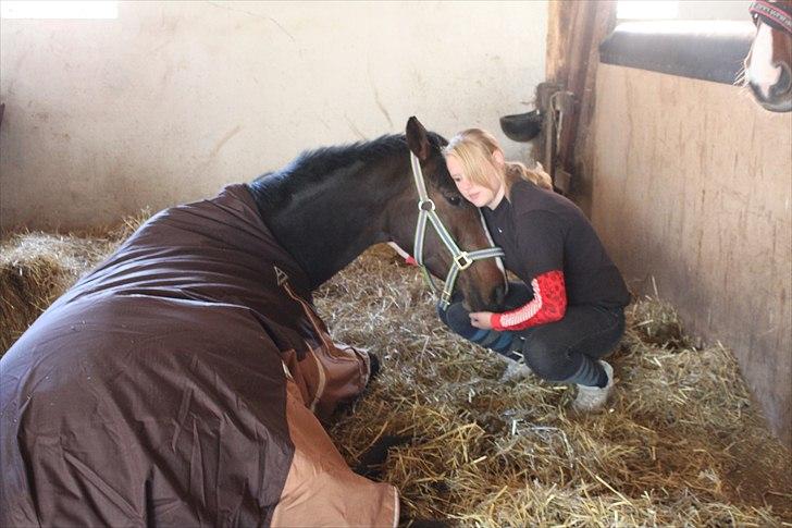 Anden særlig race Bøgedal's Fillipa - Hygger i boksen:D (Foto: Birgitte) billede 13
