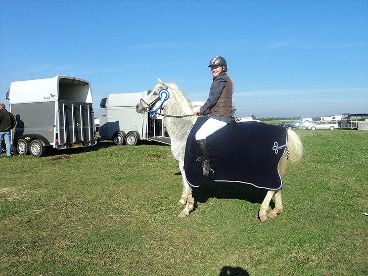 Anden særlig race Za'jin Micelina  - LA 2 plads boller rideklub oktober ´10 :D <3  billede 16