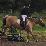 Anden særlig race Nolle R.I.P. :´(