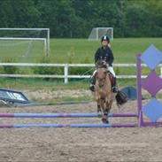 Anden særlig race Nolle R.I.P. :´(