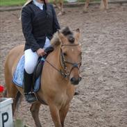 Anden særlig race Bailey *Gammel Part*