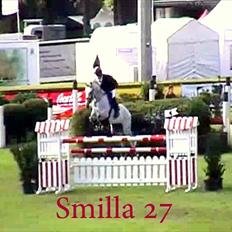 Hannoveraner Smilla 27