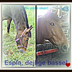 Anden særlig race Espla! :D (Ebbe ! <3) 