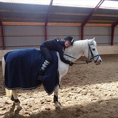 Anden særlig race Poplite<3