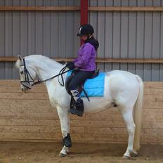 Anden særlig race Poplite<3