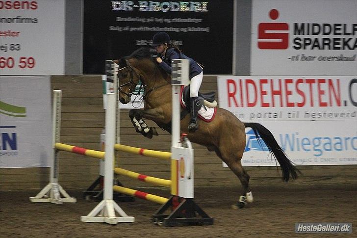 Tysk Sportspony - Maros b-pony SOLGT - første stævne i 2010 4 plads i lb :)  billede 6