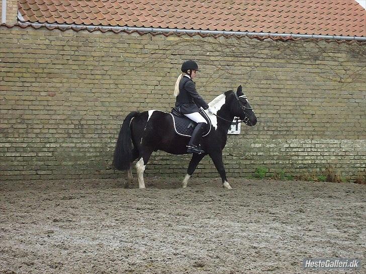 Anden særlig race Bounty ( TIDLIGER DRØMME PART ) - vi opvarmer, til at vinde! vi kommer - vi OPVARMER - vi rider - vi vinder - vi skrider<3 netop det vi gør billede 10