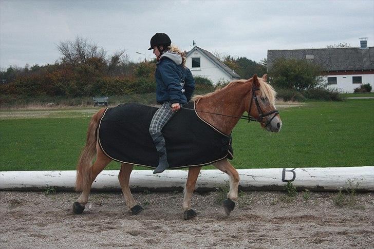 Anden særlig race Just Hugo Forever  - Ingen er bedre end dig, du fylder alt i min hverdag. billede 13