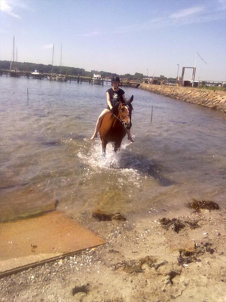 Anden særlig race Regitze - jeg kom i og det var faktisk dejligt sommer 2010<3 billede 8