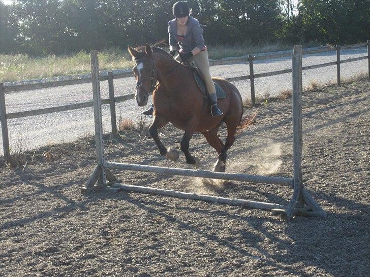 Anden særlig race Regitze - jaer vi springer ikke så højt<33 billede 9