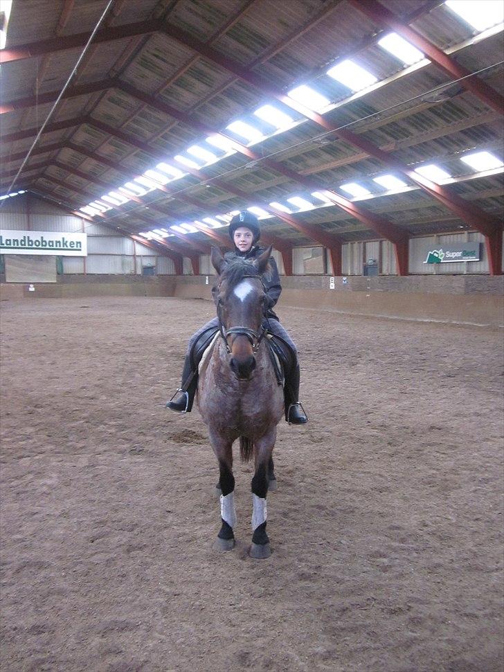 Anden særlig race Hara min lille skat R.I.P - Første ridetur på lyri
Fotograf: Mor billede 3