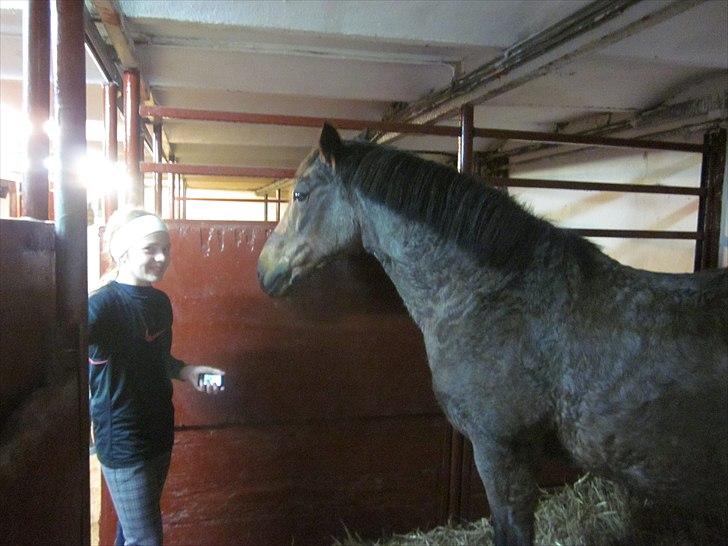 Anden særlig race Hara min lille skat R.I.P - Hey har du nået mad til mig
Fotograf: Mor billede 2