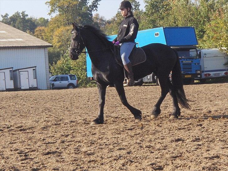 Frieser Sally billede 18