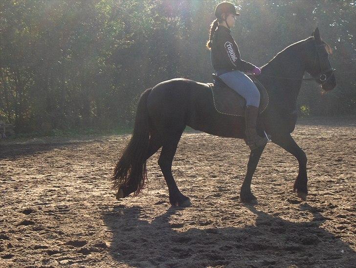 Frieser Sally billede 19