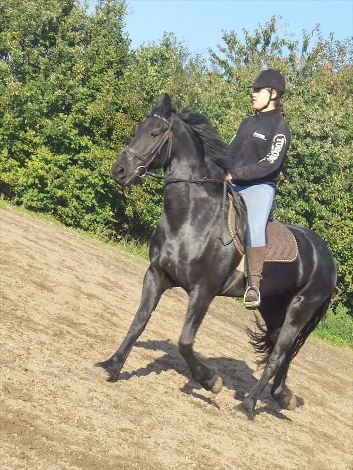 Frieser Sally billede 20