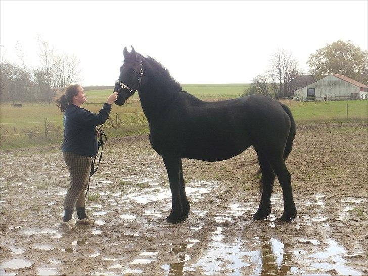 Frieser Eenskje - en uge efter jeg fik hende hjem billede 12