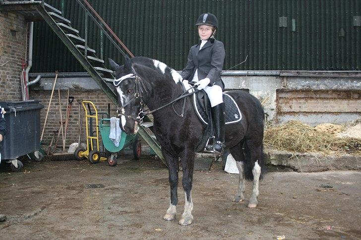 Anden særlig race Bounty ( TIDLIGER DRØMME PART ) - we do everything together<3 billede 16