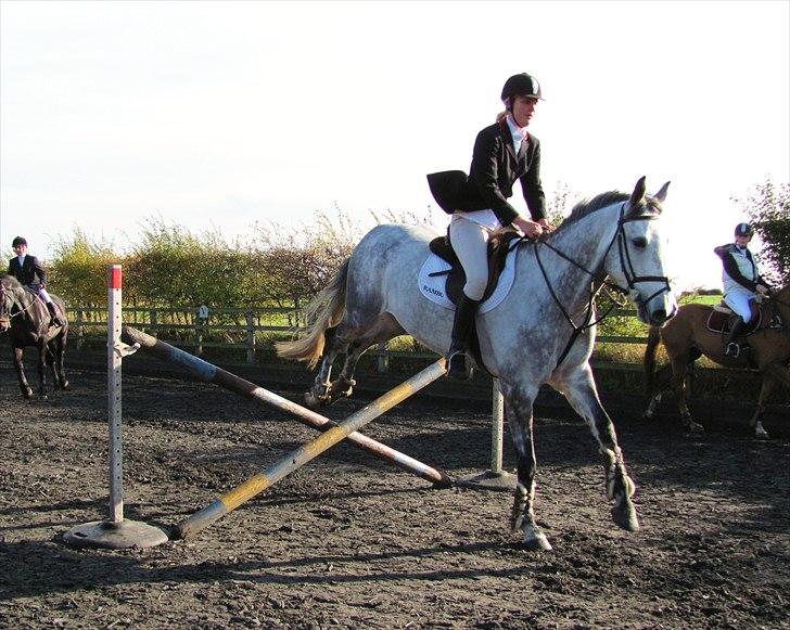 Anden særlig race Caecolley Dettingen - 30/10-10 billede 3