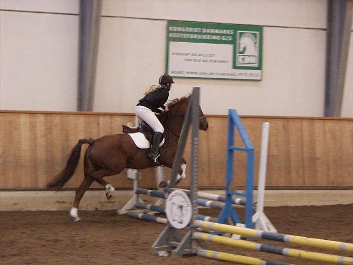 Anden særlig race Mira (Misty) - Mira og mig til stævne d. 31/10-10. 50 sløjfespring :D Hun springer godt nok lidt mærkeligt her? :D billede 10