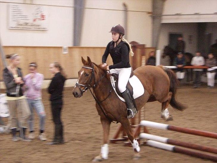 Anden særlig race Mira (Misty) - Mig og Mira igen til stævne d. 31/10-10. Vi lander :) billede 11