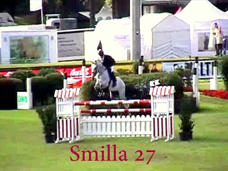 Hannoveraner Smilla 27 - V E L K O M M E N til Smilla´s profil.. :D  - smilla i tyskland billede 1