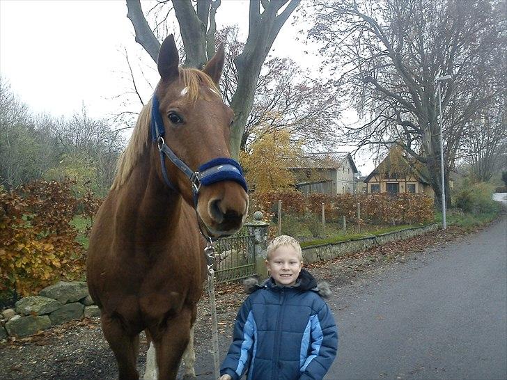 Paint Two Spot Ice - Oliver og Ice på gå tur :-) billede 20