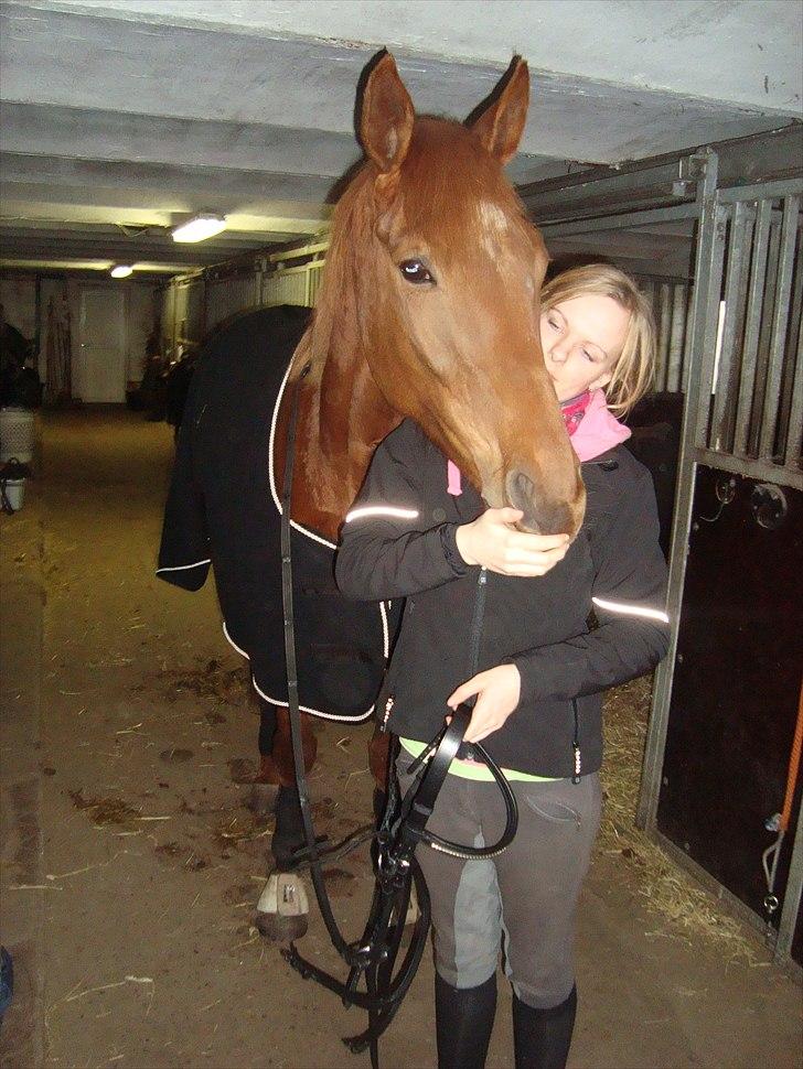 Fuldblod (XX) Tarika Pigen  ** SOLGT** - Hygge dag (: 
 billede 12