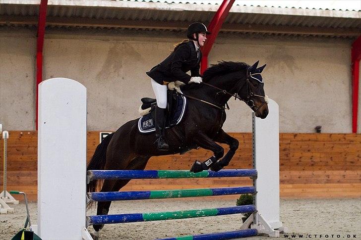 DSP Moonjams Poème *B-pony*  billede 11