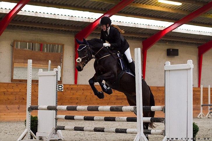 DSP Moonjams Poème *B-pony*  billede 12