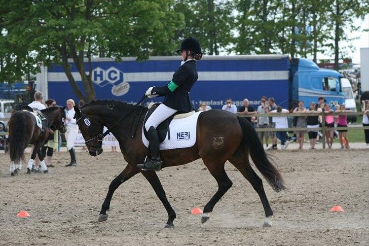 DSP Moonjams Poème *B-pony*  billede 14