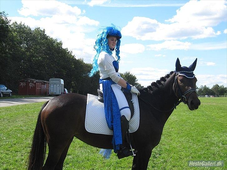 DSP Moonjams Poème *B-pony*  billede 15