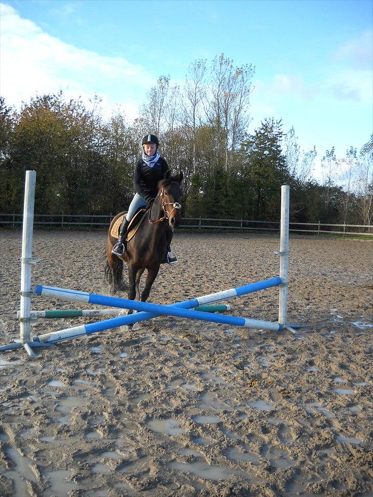 Anden særlig race Espla! :D (Ebbe ! <3)  billede 3