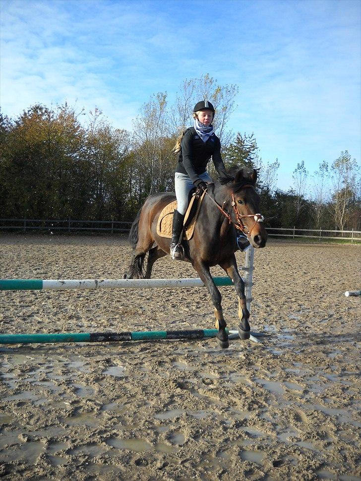 Anden særlig race Espla! :D (Ebbe ! <3)  billede 4