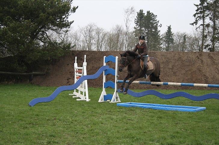 New Forest | Marabou <3 - (7) billede 7