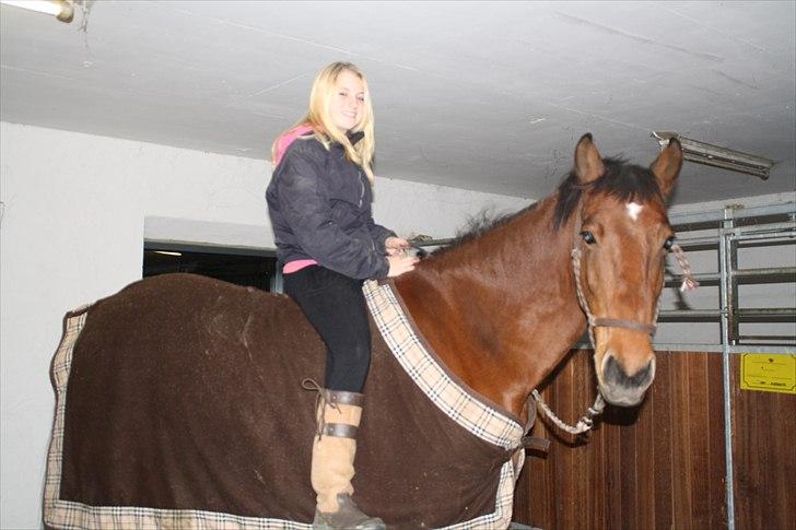 Anden særlig race  Zaki " mit alt!" - lisa og zaki<3 billede 6