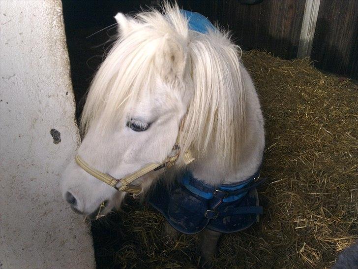 Miniature Emma Bredager billede 8