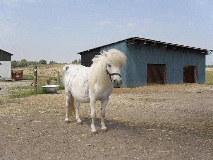 Miniature Emma Bredager billede 9