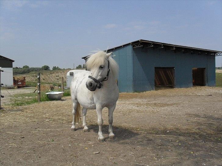 Miniature Emma Bredager billede 10