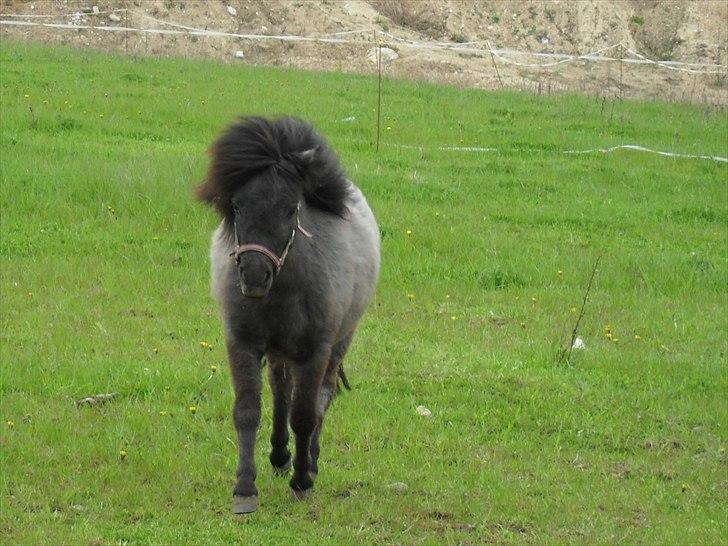 Miniature Emilie Bredager billede 9