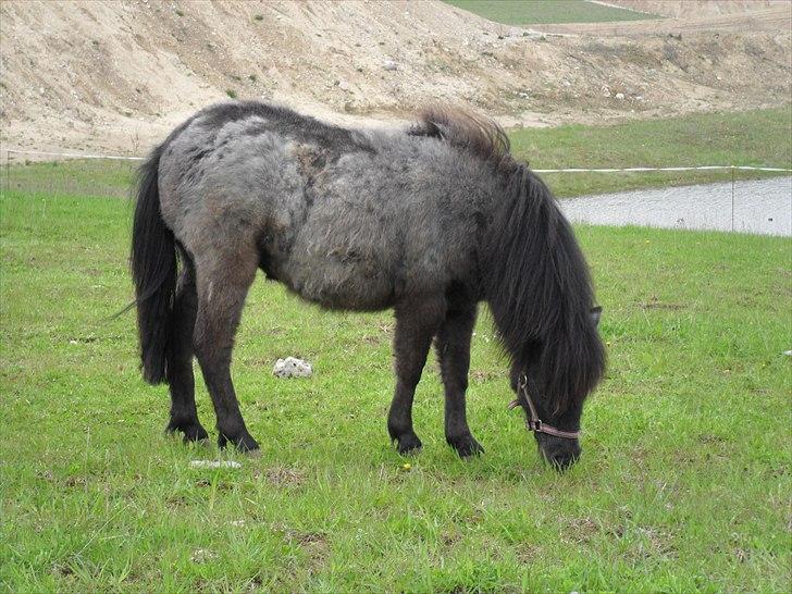 Miniature Emilie Bredager billede 10