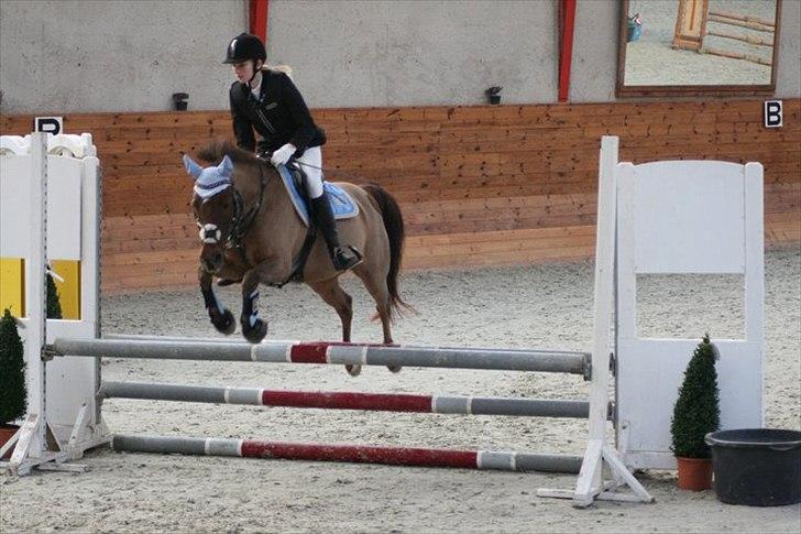 DSP Moonlight Dancer billede 19