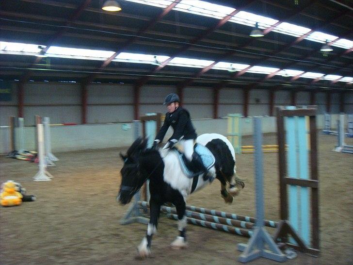 Tinker mollie - vores første stævne- billede 5