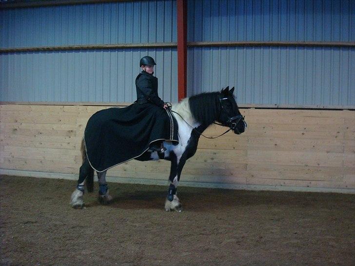 Tinker mollie billede 6