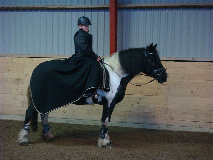 Tinker mollie billede 7