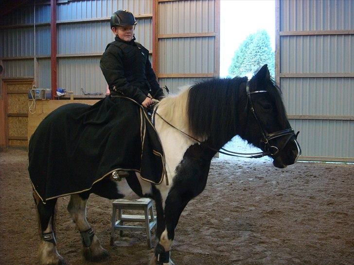 Tinker mollie billede 9