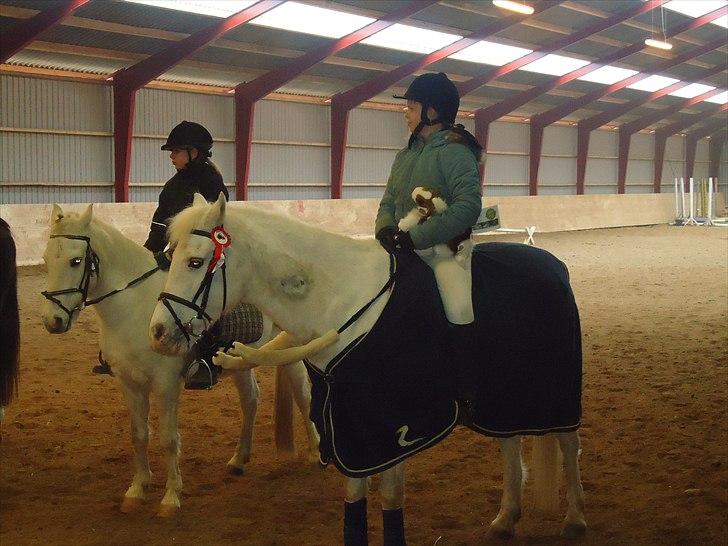 Anden særlig race Poplite<3 - Mig og Poppe til stævne d.27 februar billede 4
