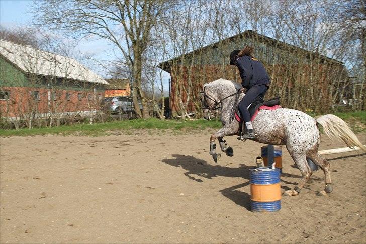 Anden særlig race Naira Uniqe solgt billede 2