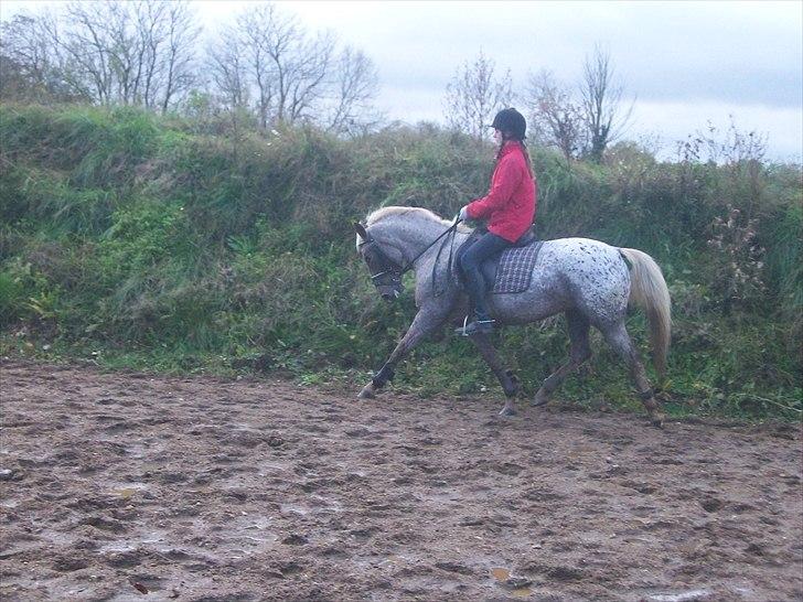 Anden særlig race Naira Uniqe solgt - vi skulle lige prøve at øge lidt:) billede 11