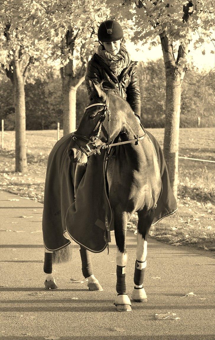 Anden særlig race Penny - Smukkere  findes ik :-9 billede 13